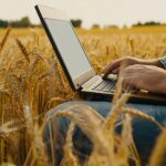 Rolnik korzystający z laptopa w inteligentnym rolnictwie. Agronom (rolnik) z laptopem w polu pszenicy, korzystający z aplikacji i internetu.