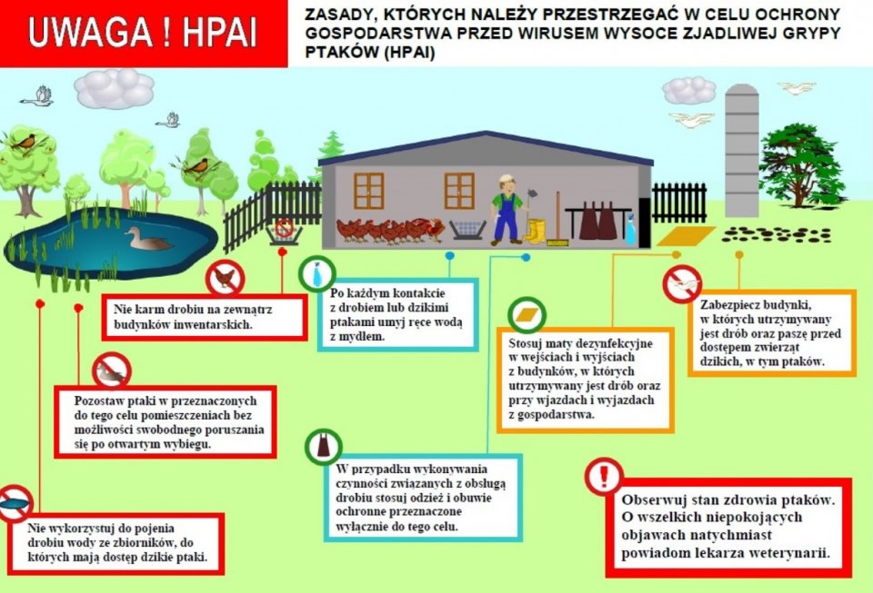 - hpai_plakat.jpg - hpai_plakat.jpg